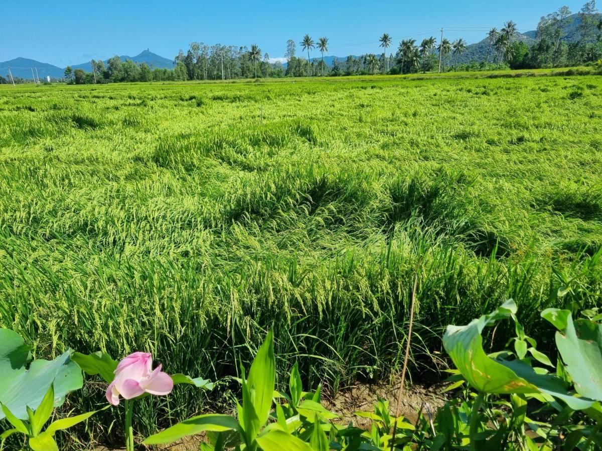 Katie'S Homestay Dong My ภายนอก รูปภาพ