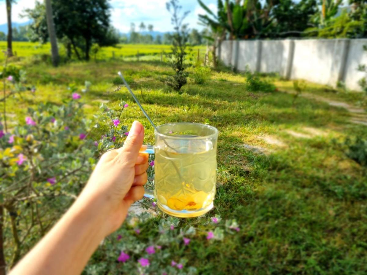 Katie'S Homestay Dong My ภายนอก รูปภาพ