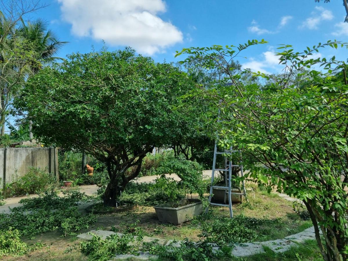 Katie'S Homestay Dong My ภายนอก รูปภาพ
