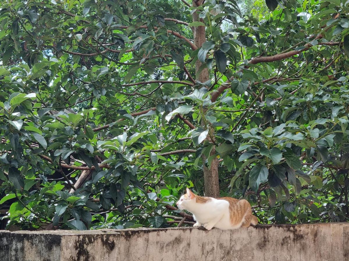 Katie'S Homestay Dong My ภายนอก รูปภาพ